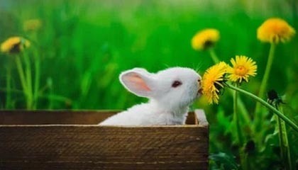 吃瓜现场｜新91黑料深夜那波讨论太顶了，把大家忽略的那一段拖回视线：难怪有人看完直接删评