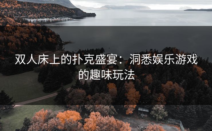 双人床上的扑克盛宴：洞悉娱乐游戏的趣味玩法