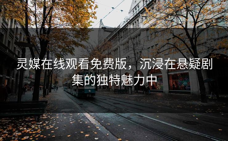 灵媒在线观看免费版，沉浸在悬疑剧集的独特魅力中