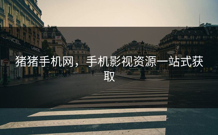 猪猪手机网，手机影视资源一站式获取
