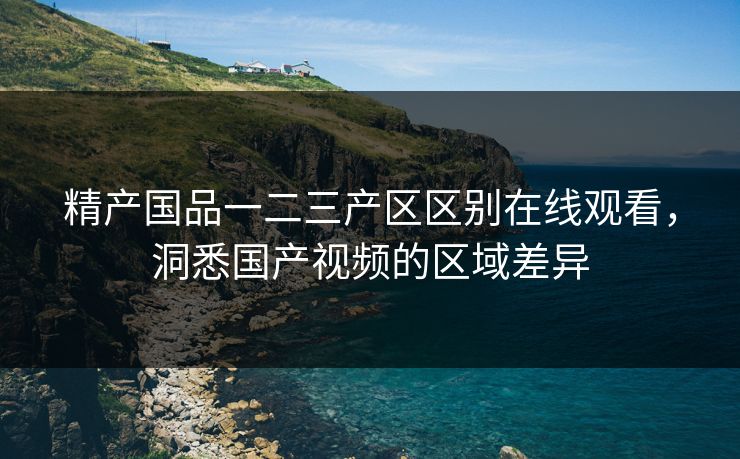 精产国品一二三产区区别在线观看，洞悉国产视频的区域差异