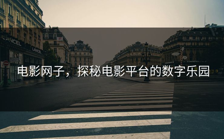 电影网子，探秘电影平台的数字乐园