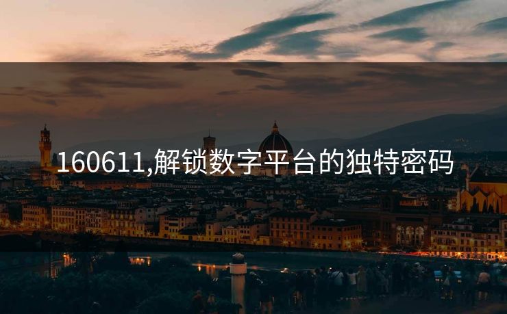 160611,解锁数字平台的独特密码