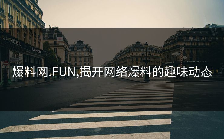 爆料网.FUN,揭开网络爆料的趣味动态