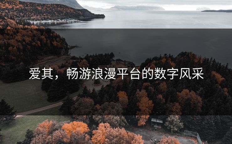 爱其，畅游浪漫平台的数字风采