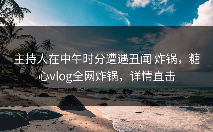 主持人在中午时分遭遇丑闻 炸锅，糖心vlog全网炸锅，详情直击