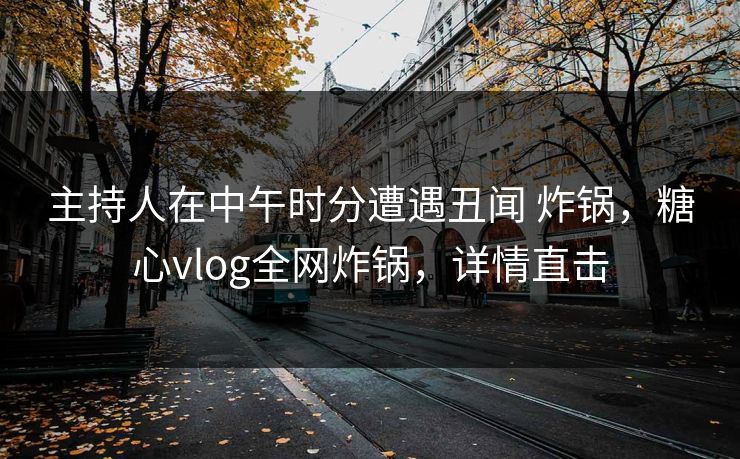 主持人在中午时分遭遇丑闻 炸锅，糖心vlog全网炸锅，详情直击