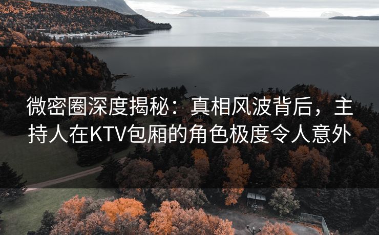 微密圈深度揭秘：真相风波背后，主持人在KTV包厢的角色极度令人意外