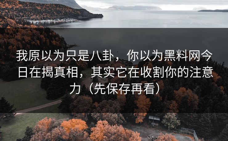 我原以为只是八卦，你以为黑料网今日在揭真相，其实它在收割你的注意力（先保存再看）