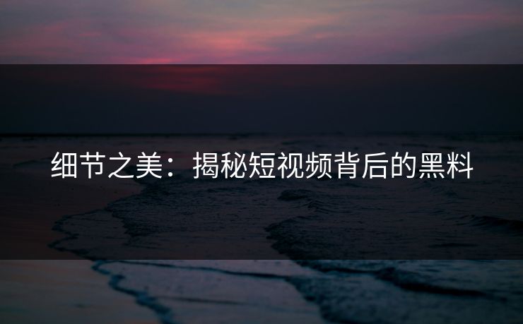 细节之美：揭秘短视频背后的黑料